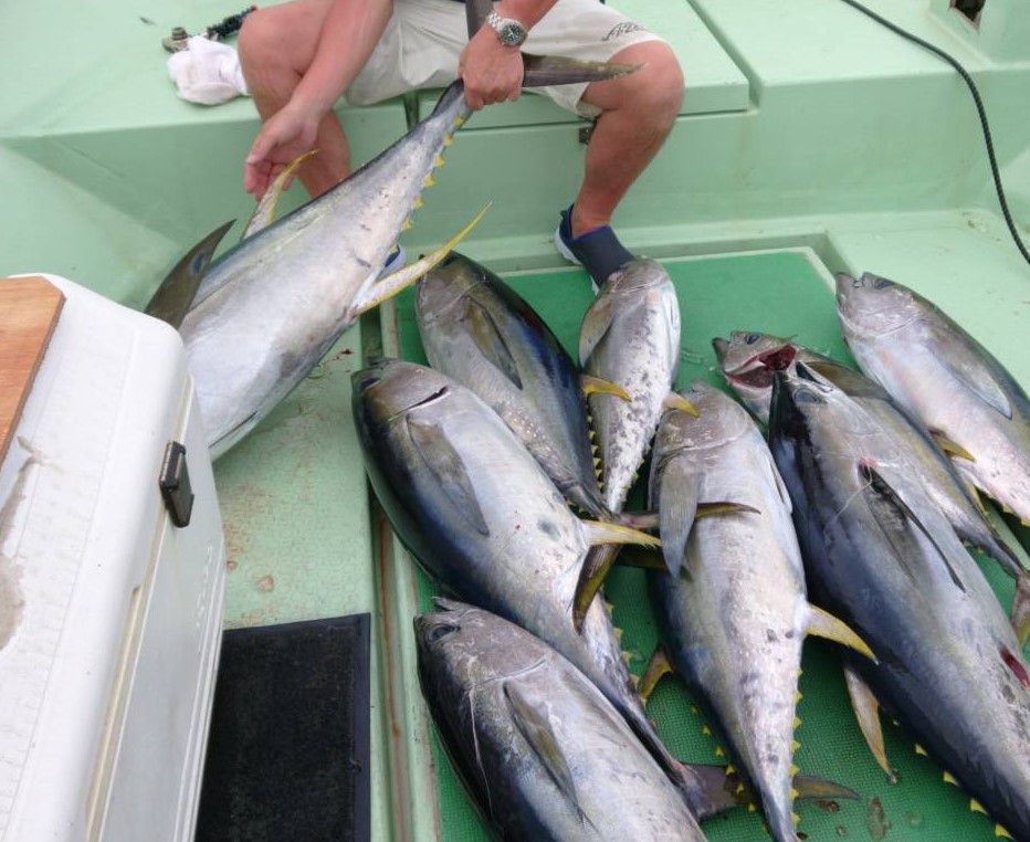 釣り船治丸 ハルマル 久米島でのマグロ釣りは釣り船治丸で